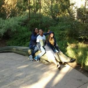 Meet your Posher, George